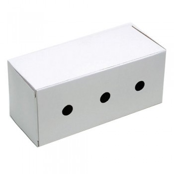 TRANSPORTE DE PAPELAO P/ CALOPSYTA