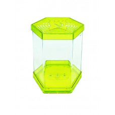 0528 - BETEIRA 1L AMARELA